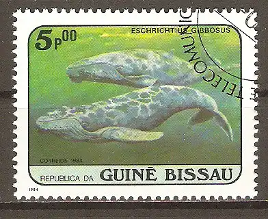 Briefmarke Guinea-Bissau Mi.Nr. 804 o Grauwal (Eschrichtius robustus) #202494
