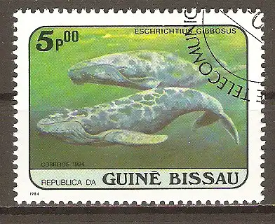 Briefmarke Guinea-Bissau Mi.Nr. 804 o Wale 1984 / Grauwal (Eschrichtius robustus) #202494
