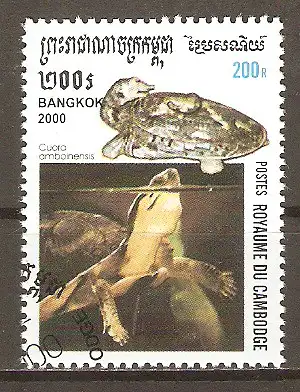 Briefmarke Kambodscha Mi.Nr. 2040 o Schildkröten 2000 / Amboina-Scharnierschildkröte (Cuora amboinensis) #202499