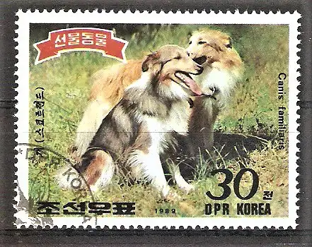 Briefmarke Korea-Nord Mi.Nr. 2994 o Tiere 1989 / Collies