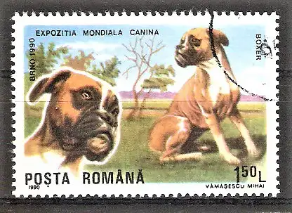 Briefmarke Rumänien Mi.Nr. 4605 o Internationale Hundeausstellung Brünn 1990 / Boxer