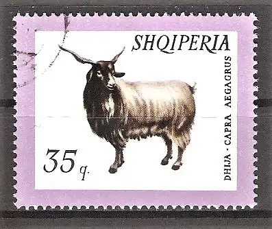Briefmarke Albanien Mi.Nr. 1031 o Haustiere 1966 / Hausziege (Capra aegagrus hircus)