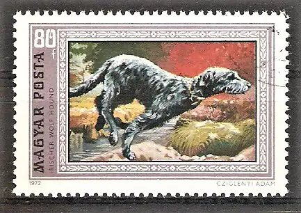 Briefmarke Ungarn Mi.Nr. 2744 A o Windhunde 1972 / Irischer schwarzer Windhund