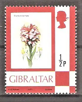 Briefmarke Gibraltar Mi.Nr. 348 I ** Flora und Fauna 1977 / Dreizähniges Knabenkraut (Orchis tridentata)