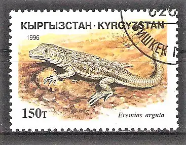 Briefmarke Kirgisistan Mi.Nr. 111 o Steppenrenner (Eremias arguta)