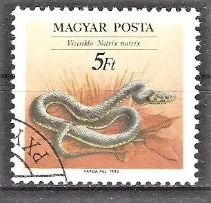 Briefmarke Ungarn Mi.Nr. 4037 A o Naturschutz 1989 / Reptilien - Ringelnatter (Natrix natrix)