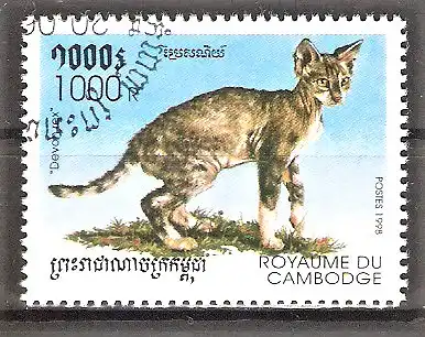 Briefmarke Kambodscha Mi.Nr. 1841 o Devon Rex Katze