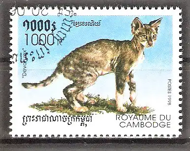 Briefmarke Kambodscha Mi.Nr. 1841 o Katzenrassen 1998 / Devon Rex Katze