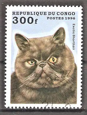 Briefmarke Kongo-Brazzaville Mi.Nr. 1454 o Katzen 1996 / Exotische Kurzhaarkatze