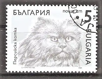 Briefmarke Bulgarien Mi.Nr. 3809 o Katzen 1989 / Perserkatze