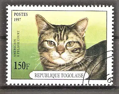 Briefmarke Togo Mi.Nr. 2537 o Katzenrassen 1997 / Amerikanische Kurzhaarkatze