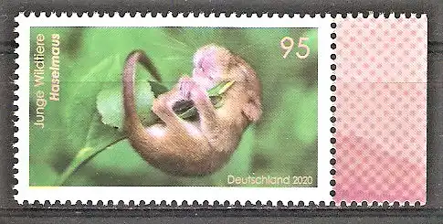 Briefmarke BRD Mi.Nr. 3563 ** Tierbabys 2020 / Haselmaus (Muscardinus avellanarius)