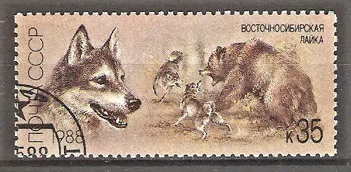 Briefmarke Sowjetunion Mi.Nr. 5831 o Jagdhunde und Jagdszenen 1988 / Ostsibirischer Polarhund (Laika)