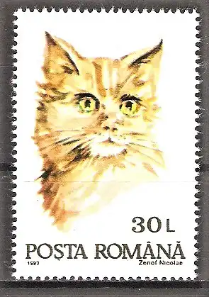 Briefmarke Rumänien Mi.Nr. 4887 ** Katzen 1993 / Katze