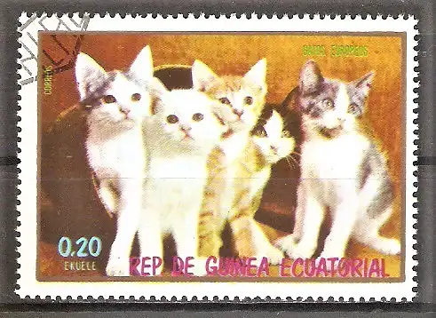 Briefmarke Äquatorial-Guinea Mi.Nr. 1019 o Katzenjunge 1976 / Katzenjunge