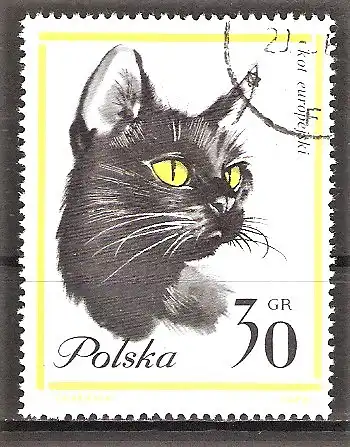Briefmarke Polen Mi.Nr. 1475 o Europäische Katze