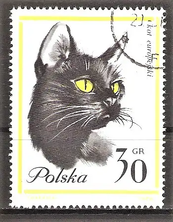 Briefmarke Polen Mi.Nr. 1475 o Katzen 1964 / Europäische Katze