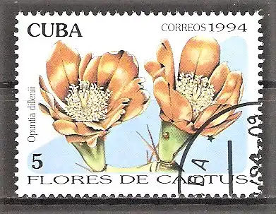 Briefmarke Cuba Mi.Nr. 3764 o Blüten einheimischer Kakteen 1994 / Opuntia dillenii
