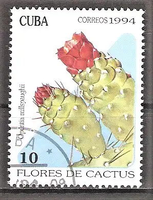 Briefmarke Cuba Mi.Nr. 3765 o Blüten einheimischer Kakteen 1994 / Opuntia millspaughii