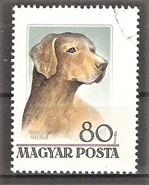 Briefmarke Ungarn Mi.Nr. 1463 o Ungarische Hunderassen 1956 / Ungarischer Vorstehhund