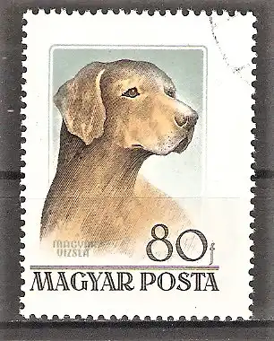 Briefmarke Ungarn Mi.Nr. 1463 o Ungarischer Vorstehhund