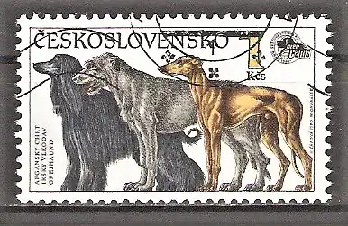 Briefmarke Tschechoslowakei Mi.Nr. 3056 o Afghane, Irischer Setter, Greyhound