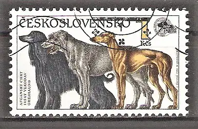 Briefmarke Tschechoslowakei Mi.Nr. 3056 o Internationale Hundeausstellung Brünn 1990 / Afghane, Irischer Setter, Greyhound