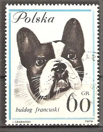 Briefmarke Polen Mi.Nr. 1378 o Hunderassen 1963 / Französische Bulldogge