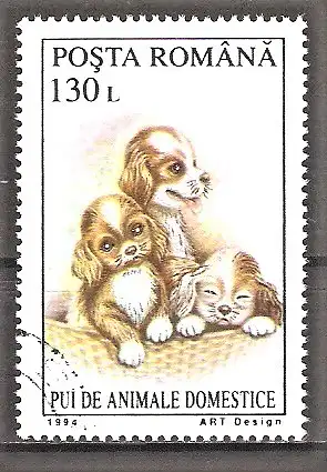 Briefmarke Rumänien Mi.Nr. 5056 o Junge Haustiere 1994 / Hundewelpen