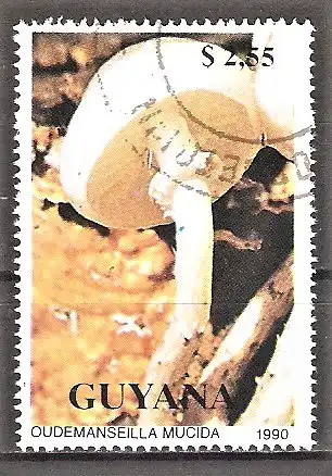 Briefmarke Guyana Mi.Nr. 3288 o Pilze 1990 / Beringter Schleimrübling - Oudemansiella mucida