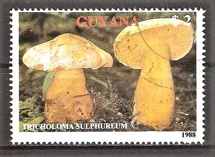 Briefmarke Guyana Mi.Nr. 2481 o Pilze 1989 / Ritterling - Tricholoma sulphureum