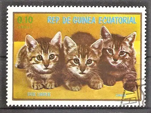 Briefmarke Äquatorial-Guinea Mi.Nr. 1017 o Katzenjunge 1976 / Katzenjunge