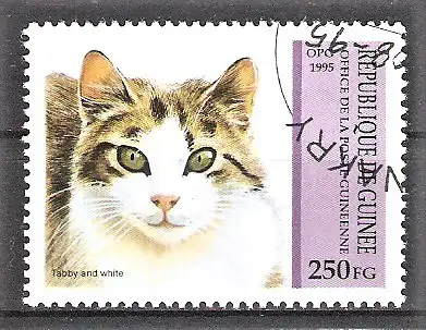 Briefmarke Guinea Mi.Nr. 1516 o Katzen 1995 / Kurzhaarkatze
