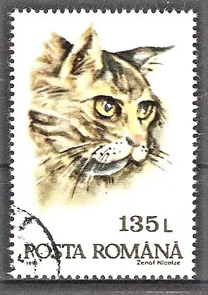 Briefmarke Rumänien Mi.Nr. 4889 o Katzen 1993 / Katze