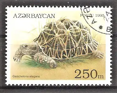 Briefmarke Aserbaidschan Mi.Nr. 226 o Schildkröten 1995 / Sternschildkröte (Testudo elegans)