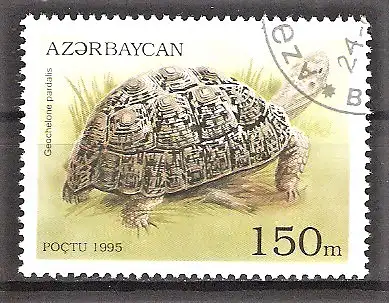 Briefmarke Aserbaidschan Mi.Nr. 225 o Schildkröten 1995 / Pantherschildkröte (Testudo pardalis)