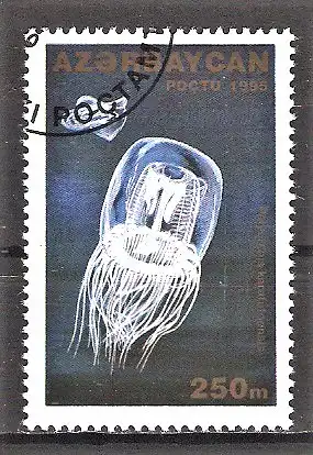 Briefmarke Aserbaidschan Mi.Nr. 220 o Qualle (Polyorchis karafutoensis)