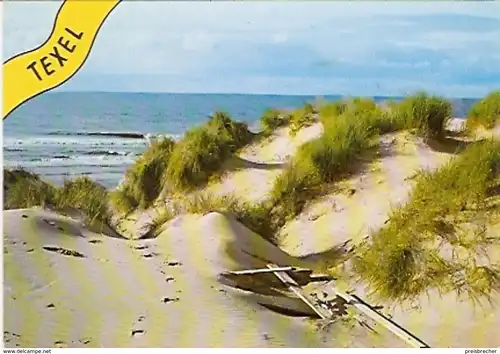 Ansichtskarte Niederlande - Texel / Küstenansicht (226)