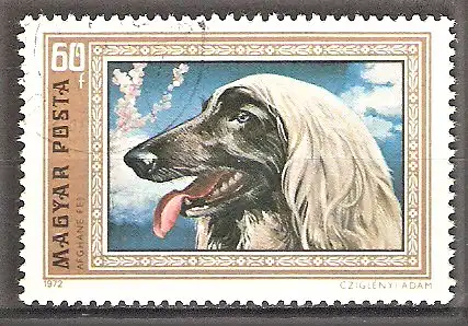 Briefmarke Ungarn Mi.Nr. 2743 A o Windhunde 1972 / Afghanischer Windhund