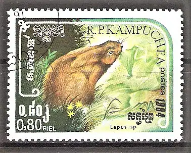 Briefmarke Kambodscha Mi.Nr. 615 o Hase (Lepus sp.)