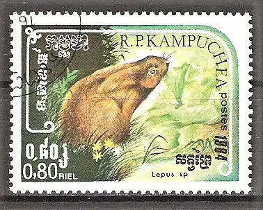 Briefmarke Kambodscha Mi.Nr. 615 o Wildlebende Tiere 1984 / Hase (Lepus sp.)