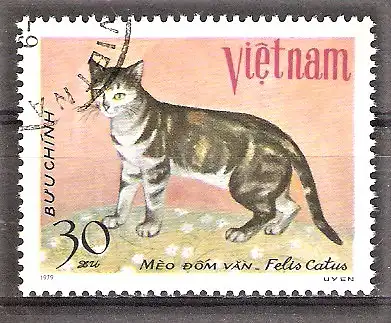 Briefmarke Vietnam Mi.Nr. 1066 o Katzen 1979 / Tigerkatze