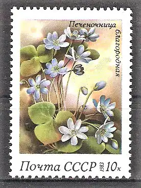 Briefmarke Sowjetunion Mi.Nr. 5280 ** Frühlingsblumen 1983 / Leberblümchen (Anemone hepatica)