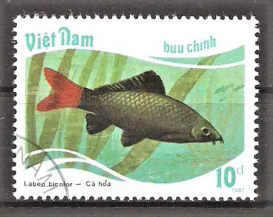 Briefmarke Vietnam Mi.Nr. 1897 o Fische 1988 / Feuerschwanz-Fransenlipper (Labeo bicolor)