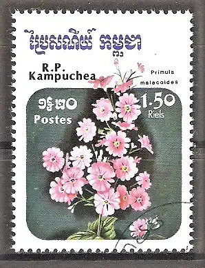 Briefmarke Kambodscha Mi.Nr. 677 o Blumen 1985 / Fliederprimel - Primula malacoides