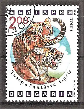 Briefmarke Bulgarien Mi.Nr. 4024 o Raubtiere 1992 / Tiger (Panthera tigris)