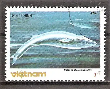 Briefmarke Vietnam Mi.Nr. 1627 o Blauwal (Balaenoptera musculus)