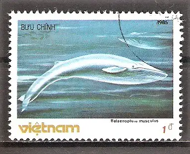 Briefmarke Vietnam Mi.Nr. 1627 o Säugetiere des Meeres 1985 / Blauwal (Balaenoptera musculus)