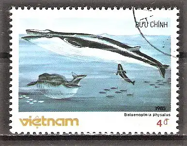 Briefmarke Vietnam Mi.Nr. 1631 o Finnwal (Balaenoptera physalus)