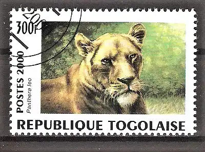 Briefmarke Togo Mi.Nr. 2994 o Großkatzen aus aller Welt 2000 / Löwe (Panthera leo)